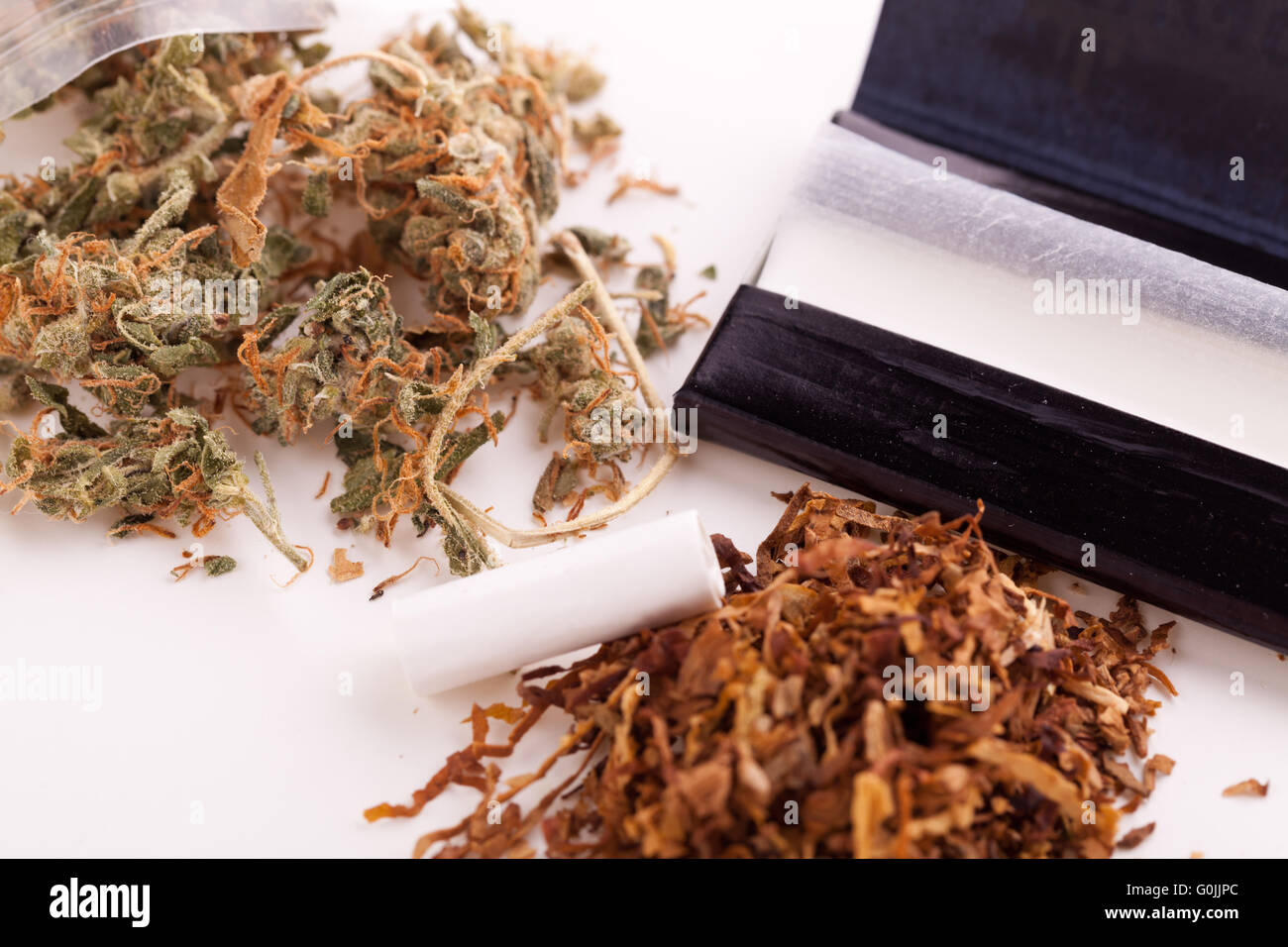 Secchi di cannabis sulla carta di rotolamento con filtro Foto Stock