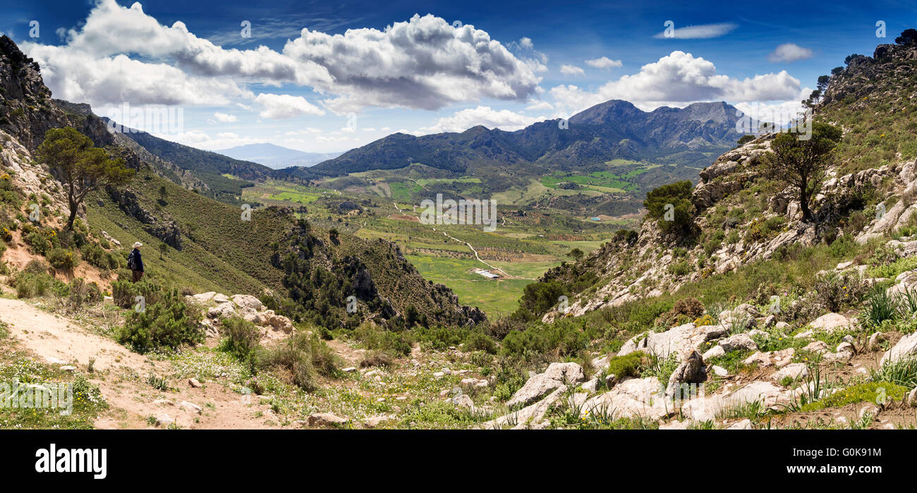 Paesaggio naturale. Sierra de las Nieves parco naturale. Málaga Andalusia, Spagna Europa Foto Stock