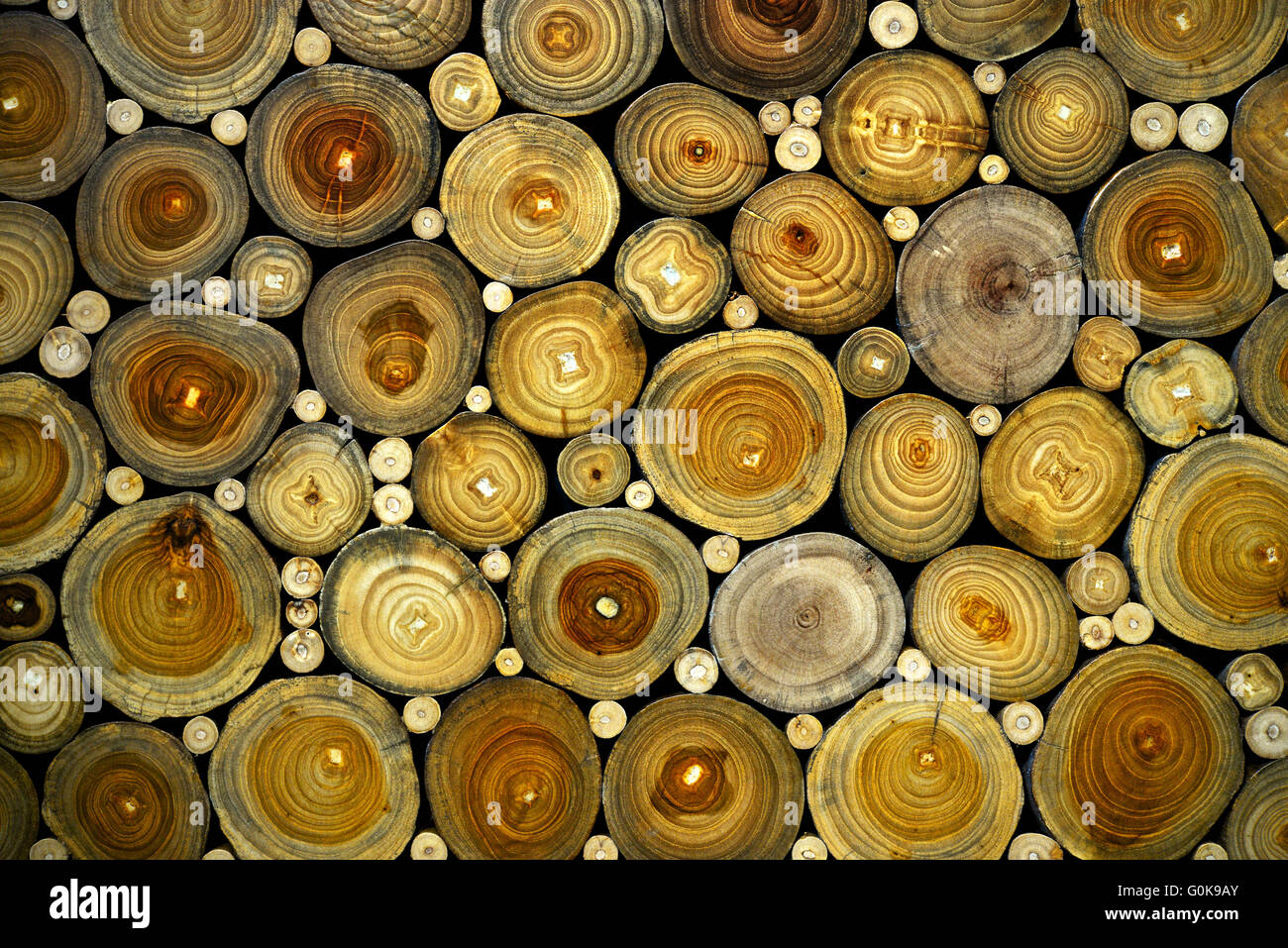 Impilati ciocchi di legna sfondo Foto Stock