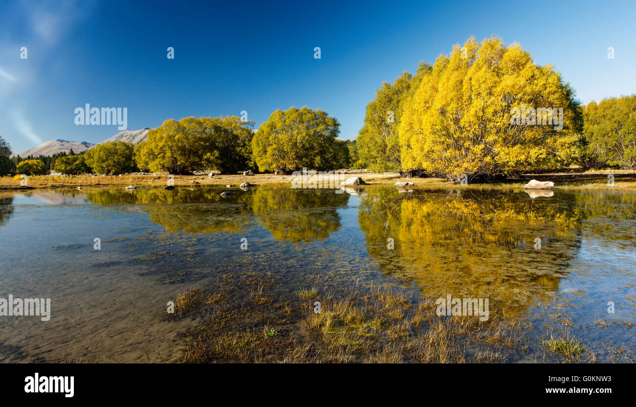 I colori dell'autunno del Lago Tekapo, Nuova Zelanda. Foto Stock