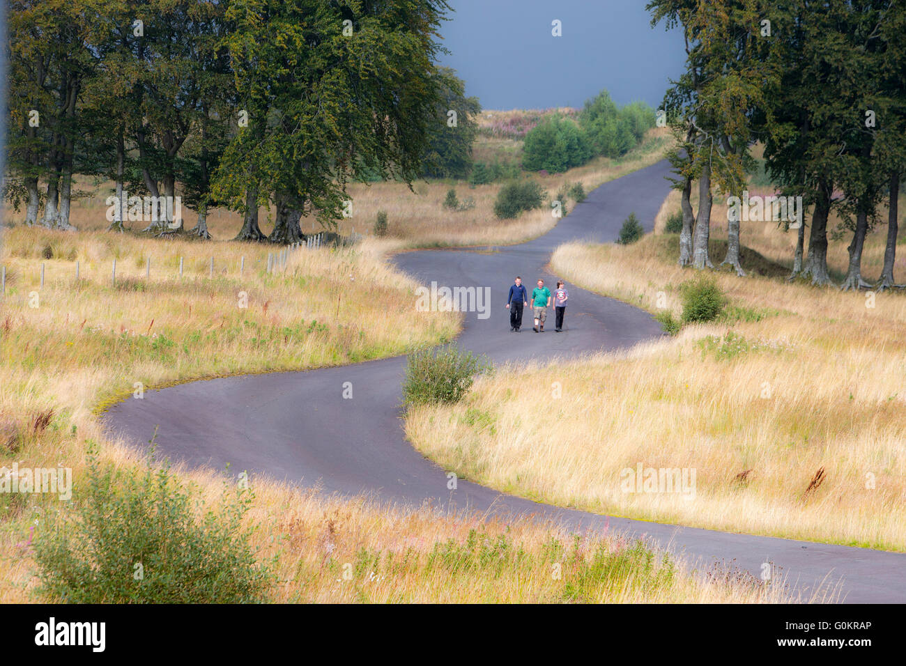 Ragazzi a piedi lungo la strada ieading alla foresta di Muirkirk Foto Stock