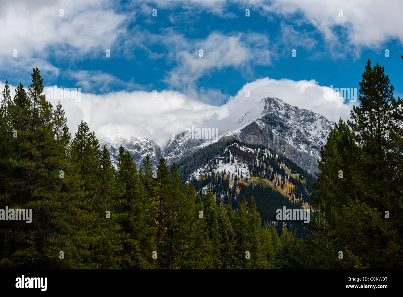 Il Parco Nazionale di Banff, Canadian Rocky Mountains, Alberta, Canada, America del Nord Foto Stock