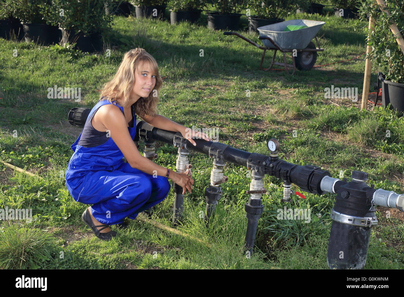 Un vivaio di irrigazione giardinaggio con un sistema di irrigazione Foto Stock