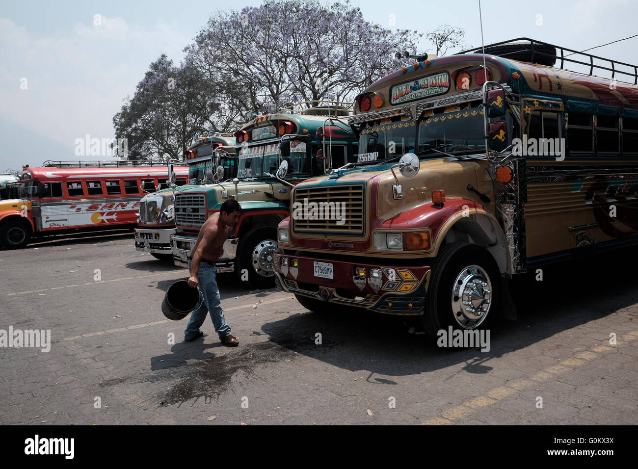 Il mitico autobus di pollo in il terminal degli autobus di Antigua in una città negli altipiani centrali del Guatemala America centrale. Modello di autobus sono internazionali 3700 con Thomas corpo prodotto dalla International Harvester principalmente per bus di scuola e applicazioni di transito Foto Stock