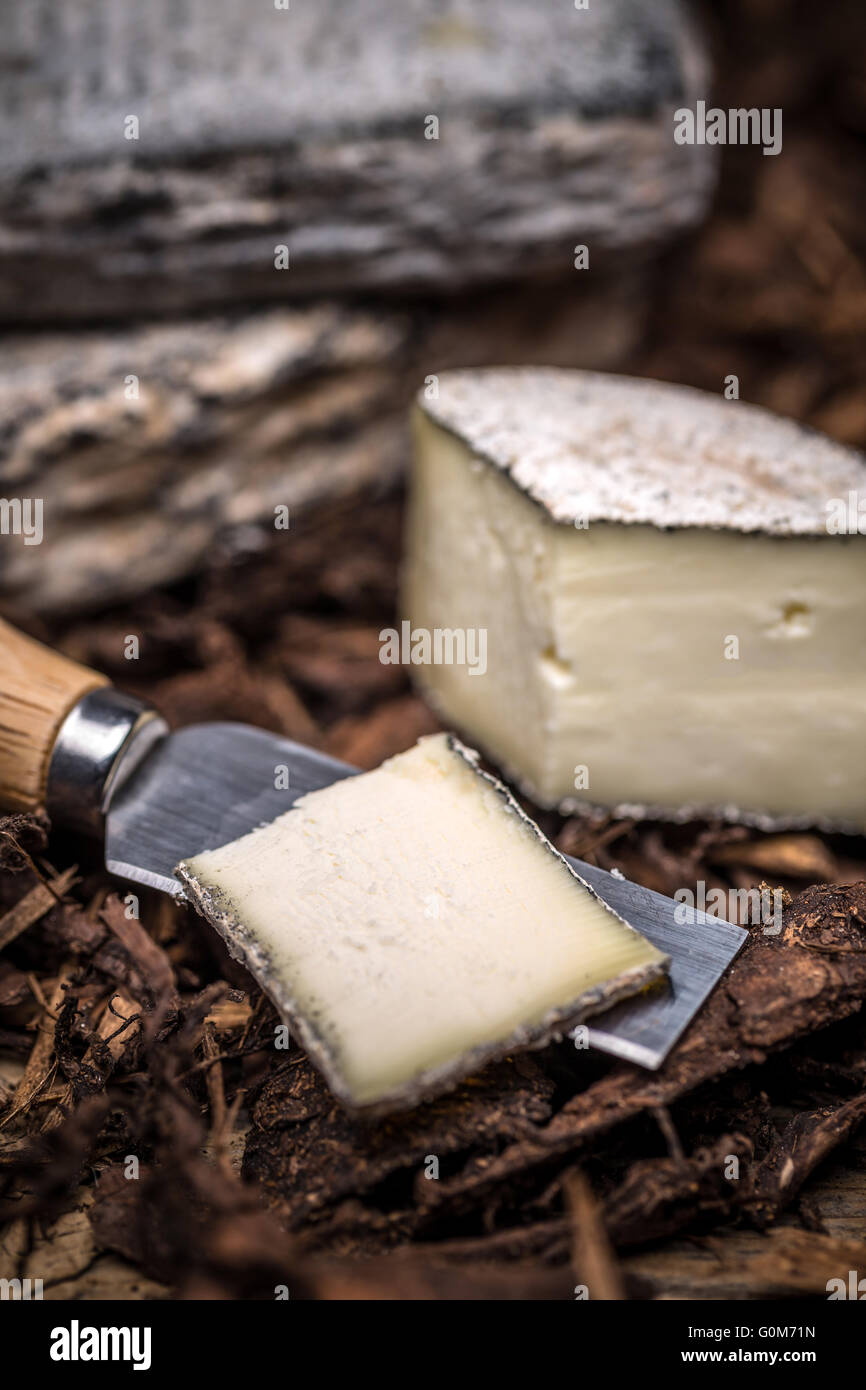 Fetta di brie artigianale di crema di formaggio Foto Stock