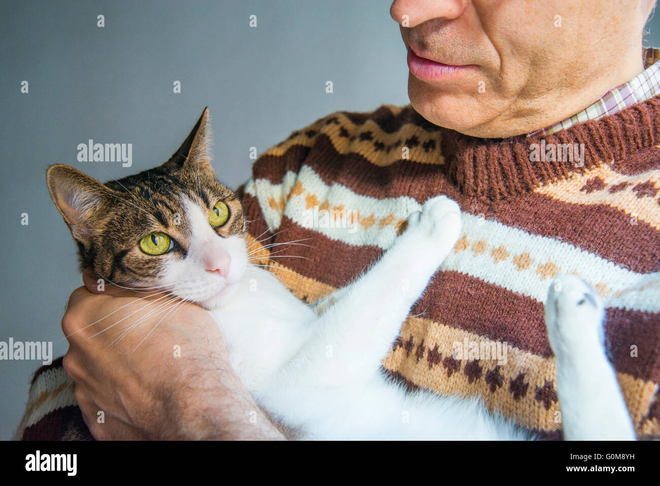L'uomo tenendo un tabby e white cat nelle sue braccia. Chiudere la vista. Foto Stock