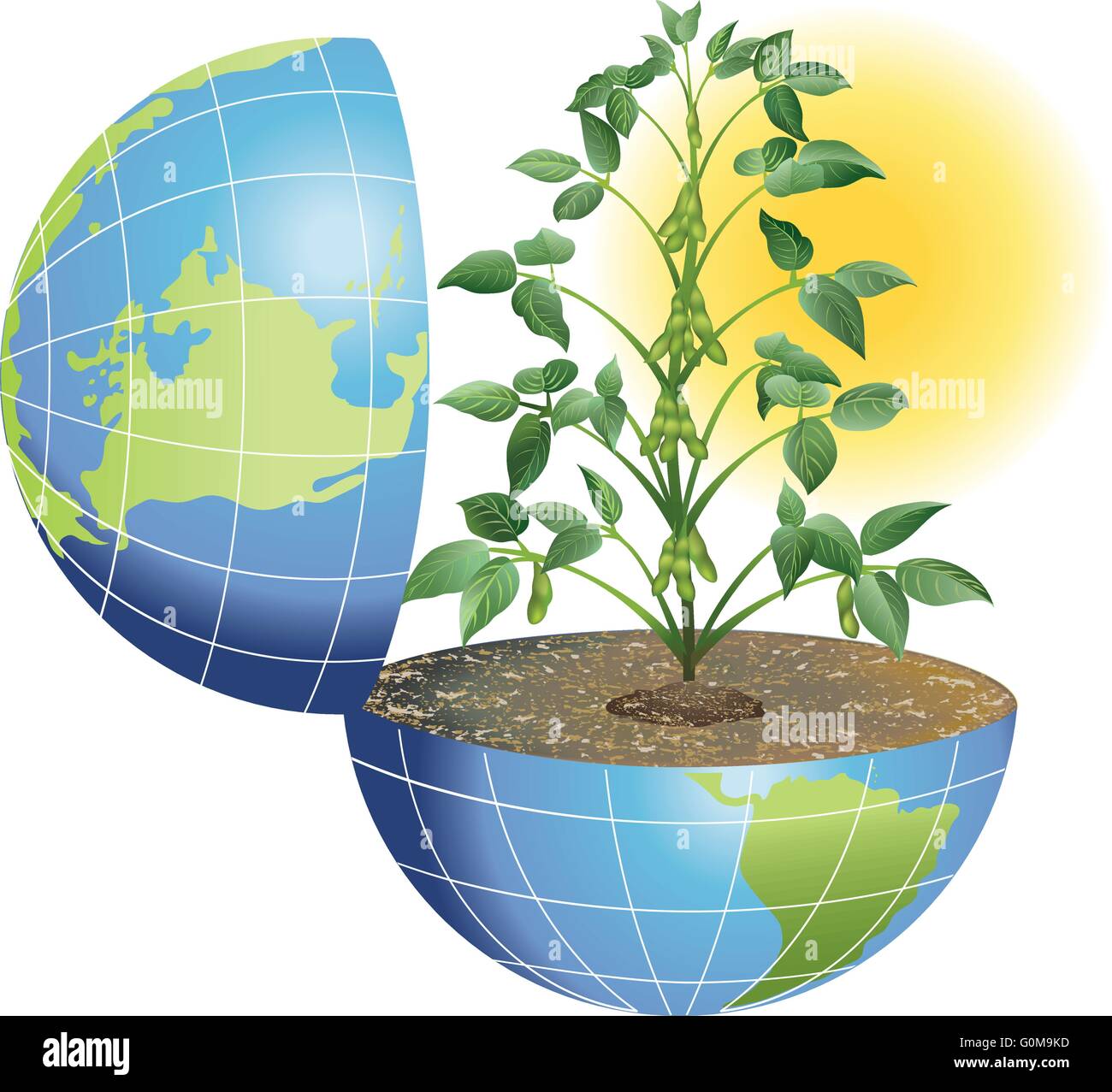 Le piante sulla terra Illustrazione Vettoriale