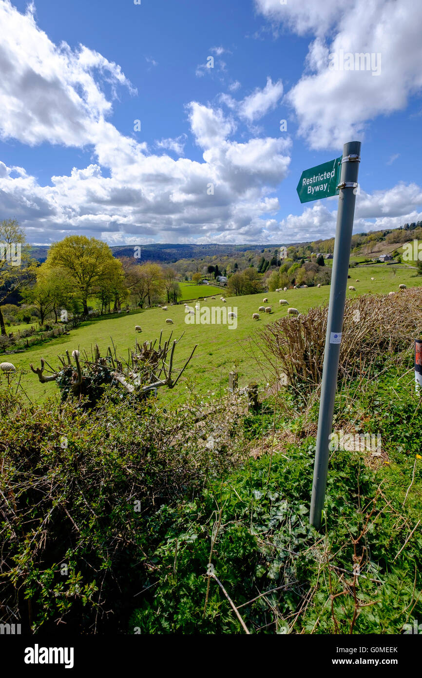 Sentiero segno nella valle del Wye Gloucestershire England Regno Unito. Segno dice 'limitato byway' vista verso Brockweir, campi con pecora Foto Stock