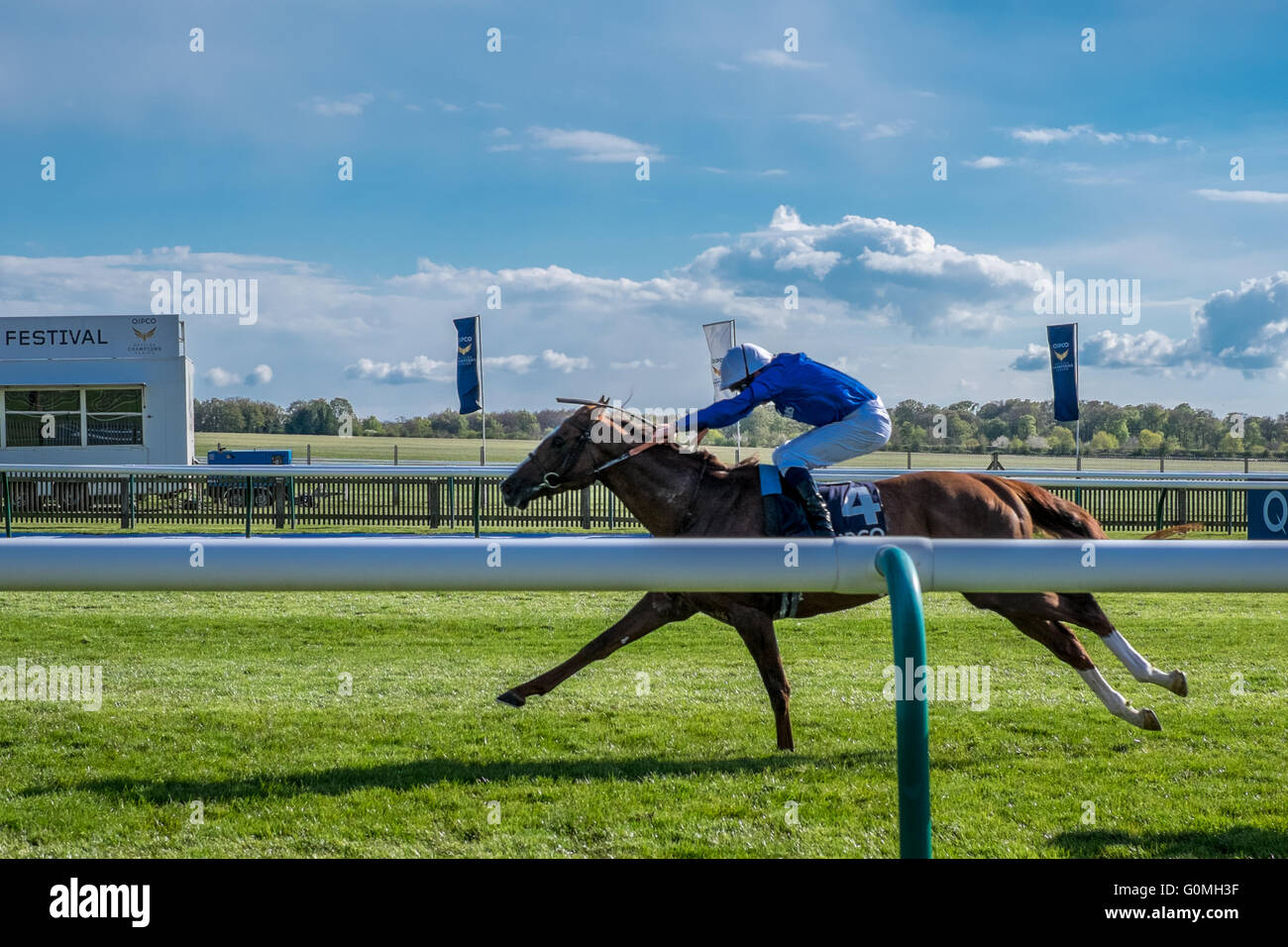 Il cavallo vincente Hawkbill dal QIPCO 2000 Guinea gara a Newmarket ippodromi corse di cavalli in una giornata di sole in maggio. Foto Stock
