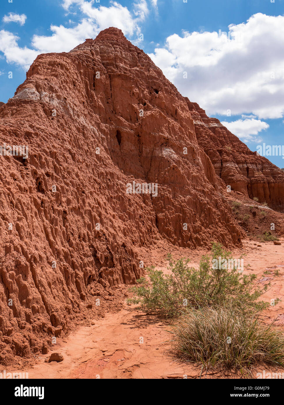 Scogliere lungo il sentiero, Lighthouse Trail, Palo Duro State Park, Texas. Foto Stock