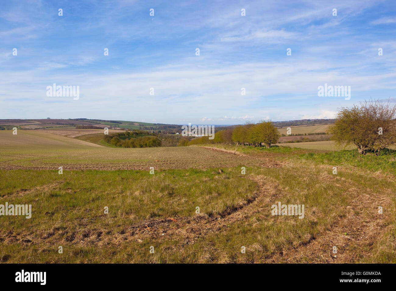 Il paesaggio panoramico del Yorkshire wolds in primavera con siepi e campi arabili sotto un nuvoloso cielo blu. Foto Stock