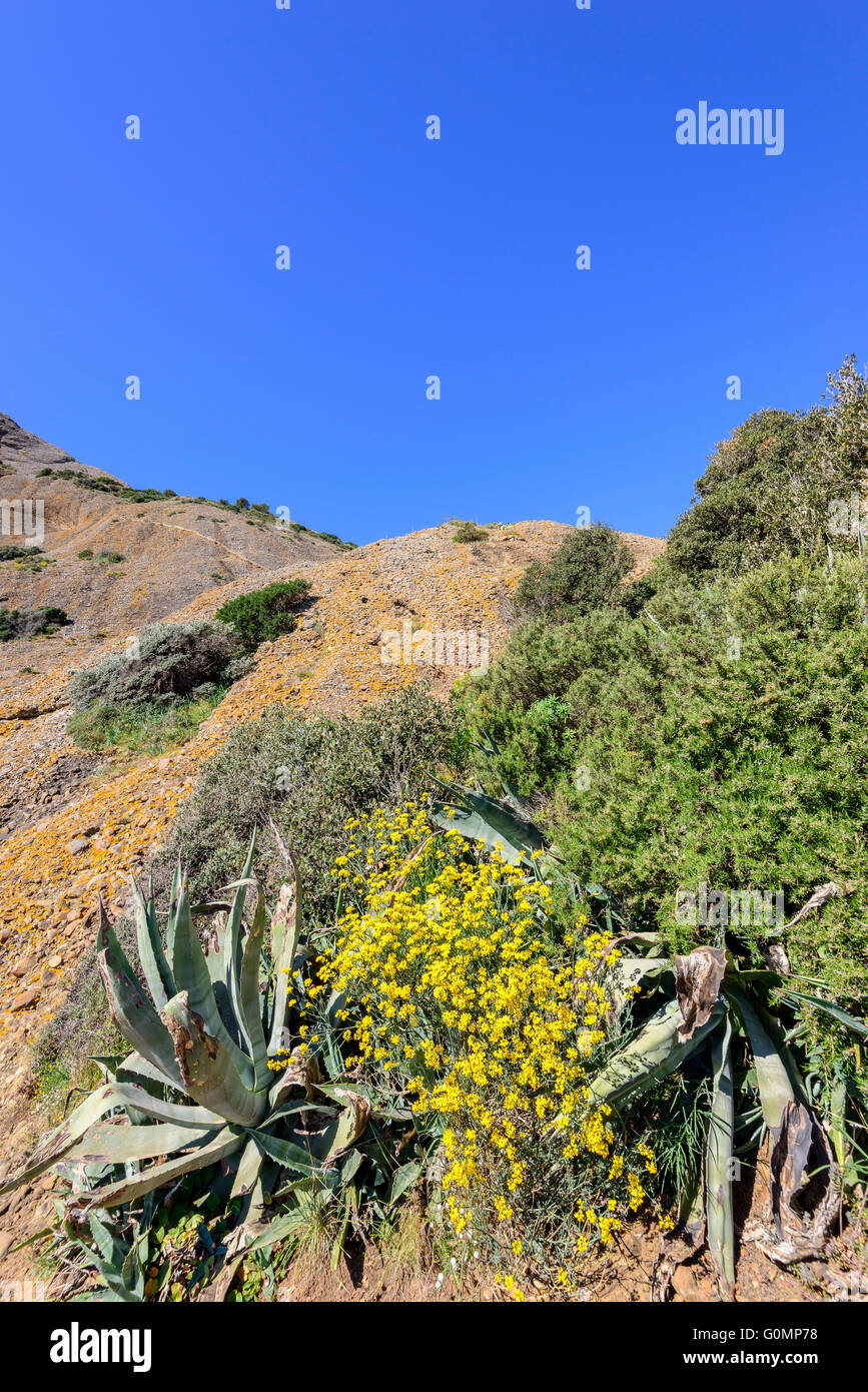 Parc du Mugel la Ciotat Francia Bdr Provenza Foto Stock