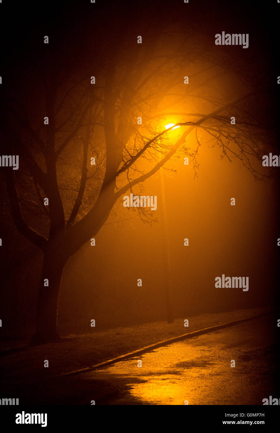 Una luce di strada in una nebbiosa sera, Worcestershire, Regno Unito Foto Stock