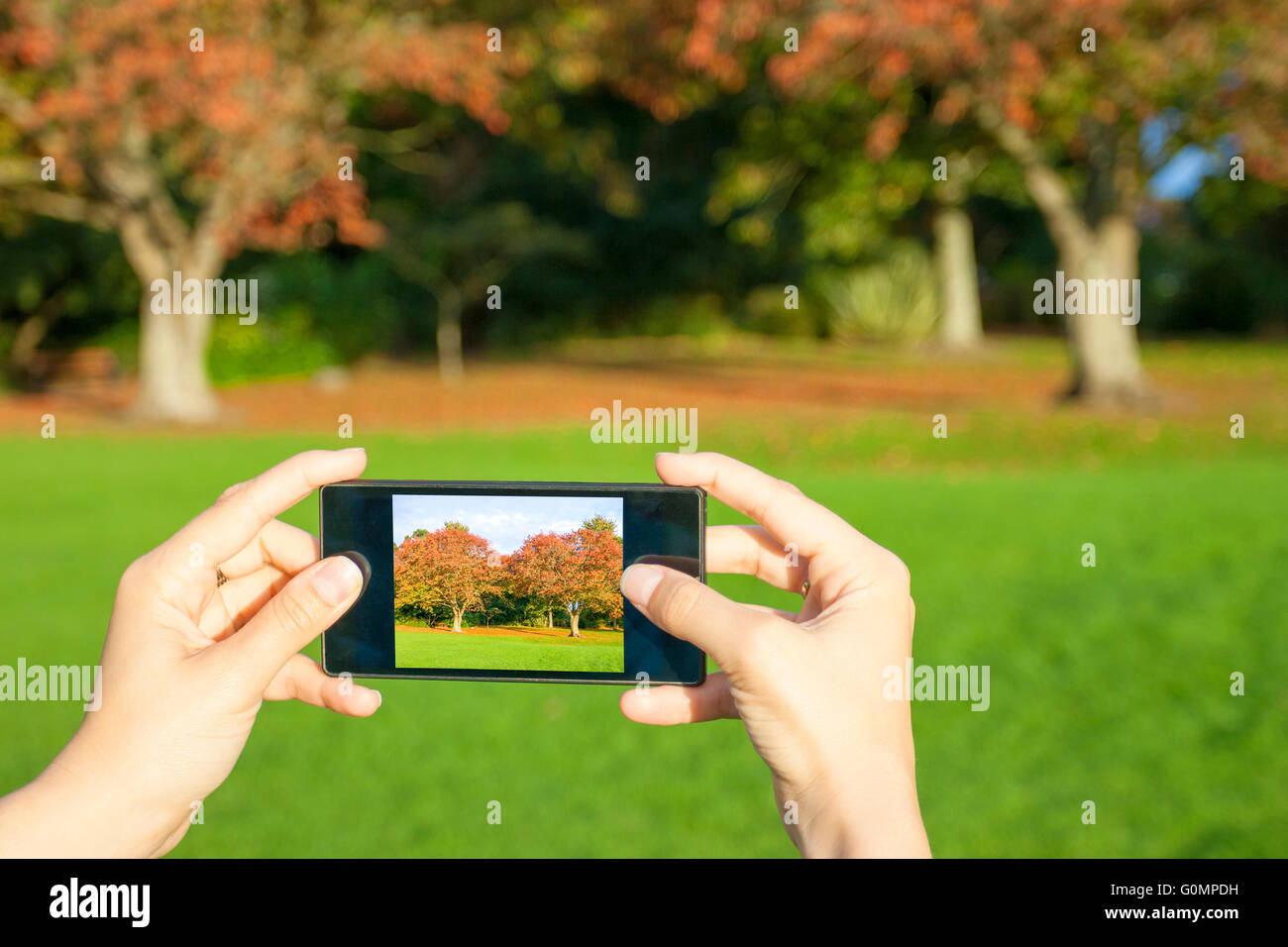 Giovane donna adulta di scattare una foto in un paesaggio autunnale Foto Stock