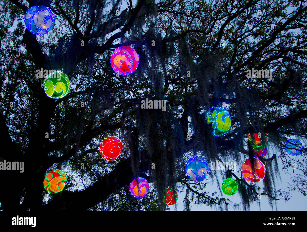 Le lanterne cinesi e muschio Spagnolo adornano i rami degli alberi di quercia in New Orleans' City Park durante il Cinese presentano luci. Foto Stock
