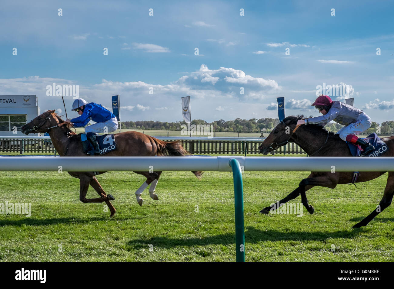 Il cavallo vincente Hawkbill dal QIPCO 2000 Guinea gara a Newmarket ippodromi corse di cavalli in una giornata di sole in maggio. Foto Stock