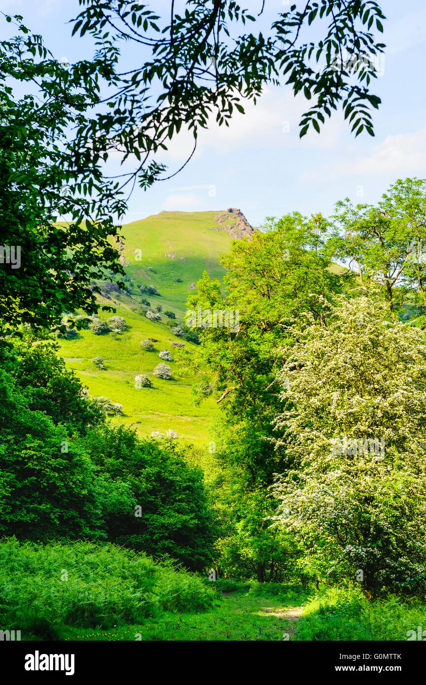 Guardando verso Caer Caradoc Shropshire Inghilterra da Cwms Foto Stock
