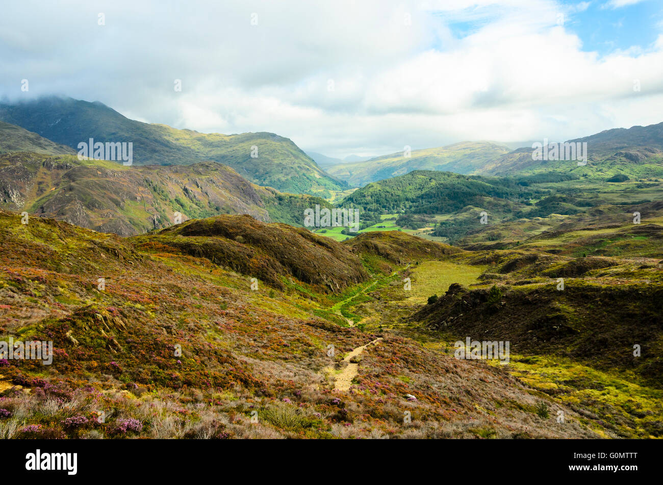 Percorso scendendo a nascosto Llyn Dinas nelle colline sopra Beddgelert nel Parco Nazionale di Snowdonia nel Galles. Yr Aran nella nebbia sulla sinistra. Foto Stock