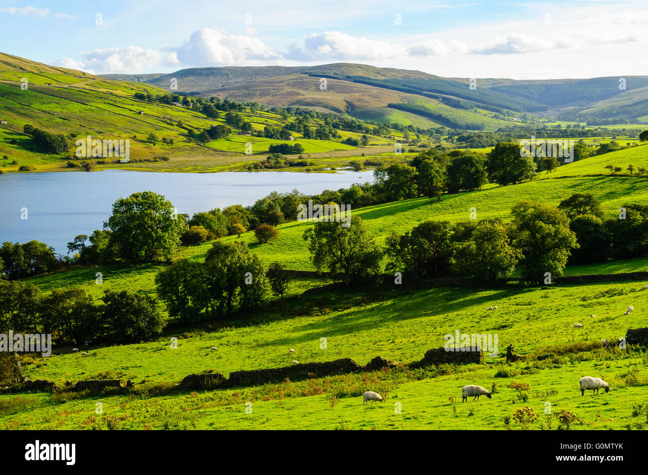 Acqua di Semer in Raydale un ramo di Wensleydale nel North Yorkshire Foto Stock