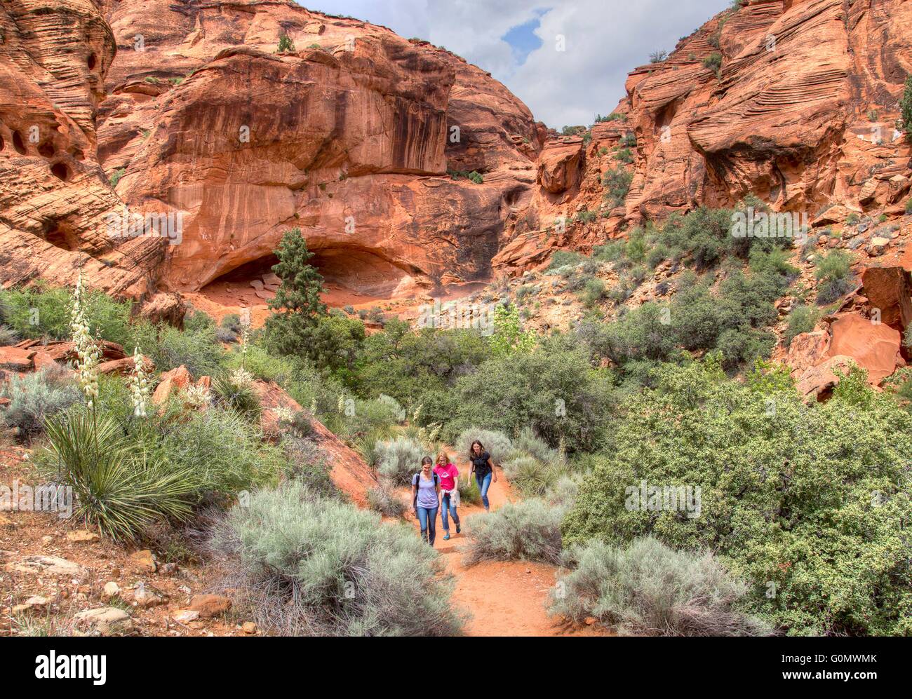 Gli escursionisti fanno la loro strada attraverso le colline di roccia e il deserto al Red cliffs National Conservation Area dove l'Altopiano del Colorado, bacino grande deserto e il Deserto Mojave si sovrappongono nei pressi di San Giorgio, Utah. Foto Stock