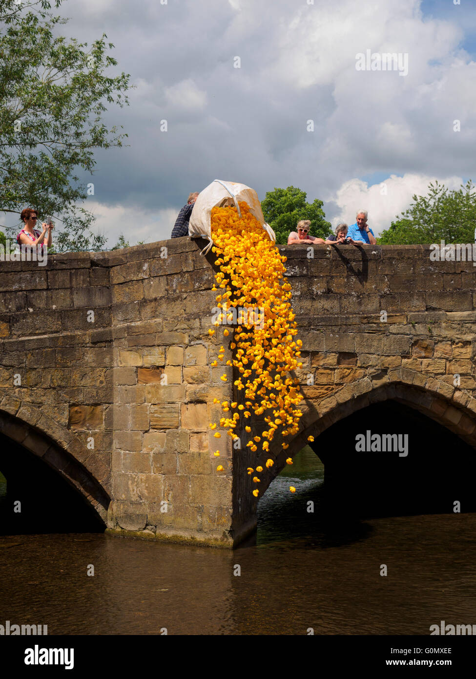 Giocattolo di plastica anatre di essere svuotati in fiume anatra annuale gara tenutasi in Bakewell sul fiume Wye Peak District Derbyshire Inghilterra Foto Stock