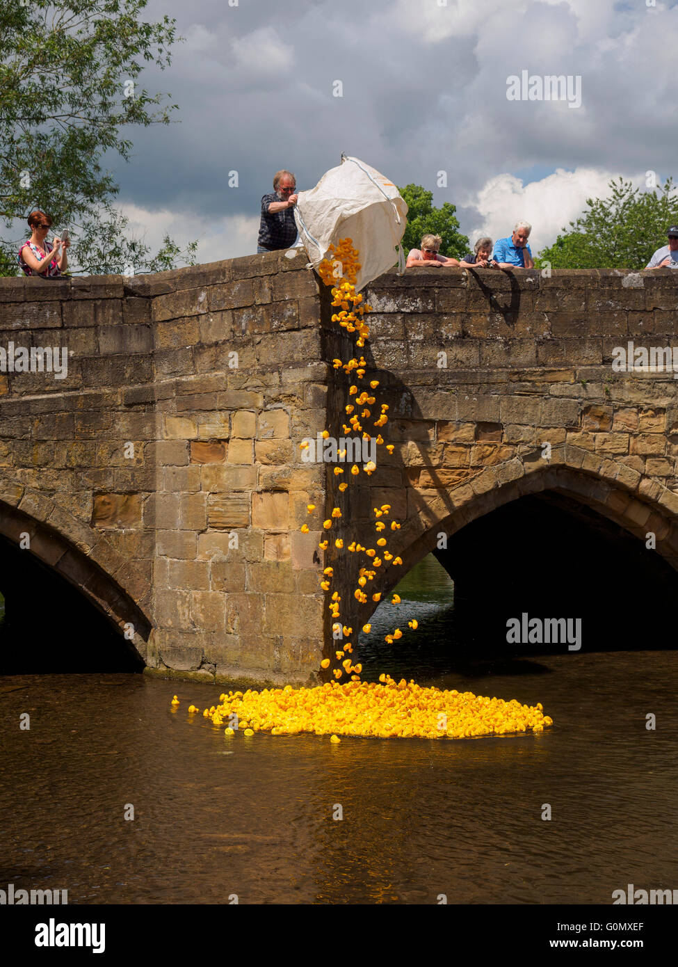 Anatra annuale gara tenutasi in Bakewell sul fiume Wye Peak District Derbyshire Inghilterra Foto Stock