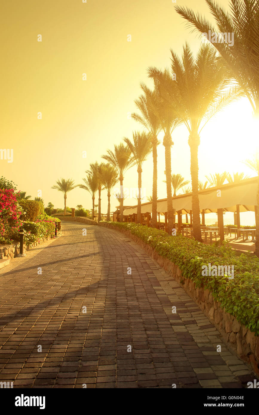 Il lungomare di pavimentazione in pietra nel parco egiziano Foto Stock