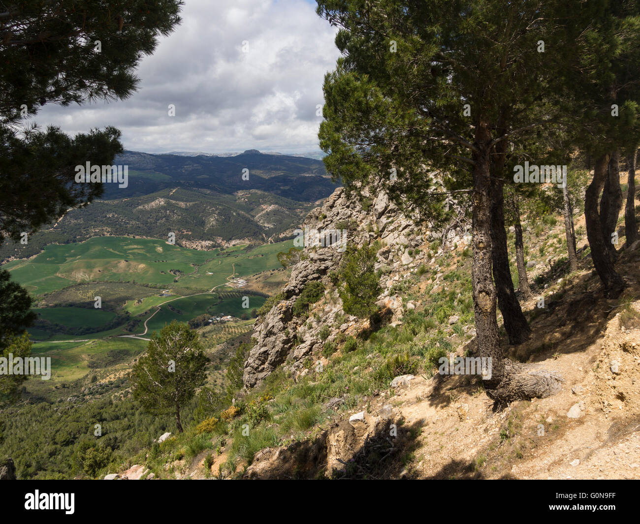 Paesaggio naturale. Sierra de las Nieves parco naturale. Málaga Andalusia, Spagna Europa Foto Stock