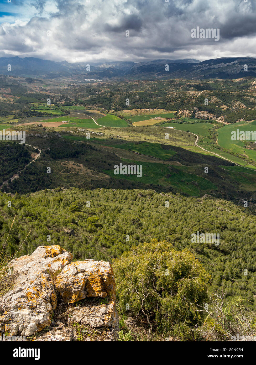 Paesaggio naturale. Sierra de las Nieves parco naturale. Málaga Andalusia, Spagna Europa Foto Stock