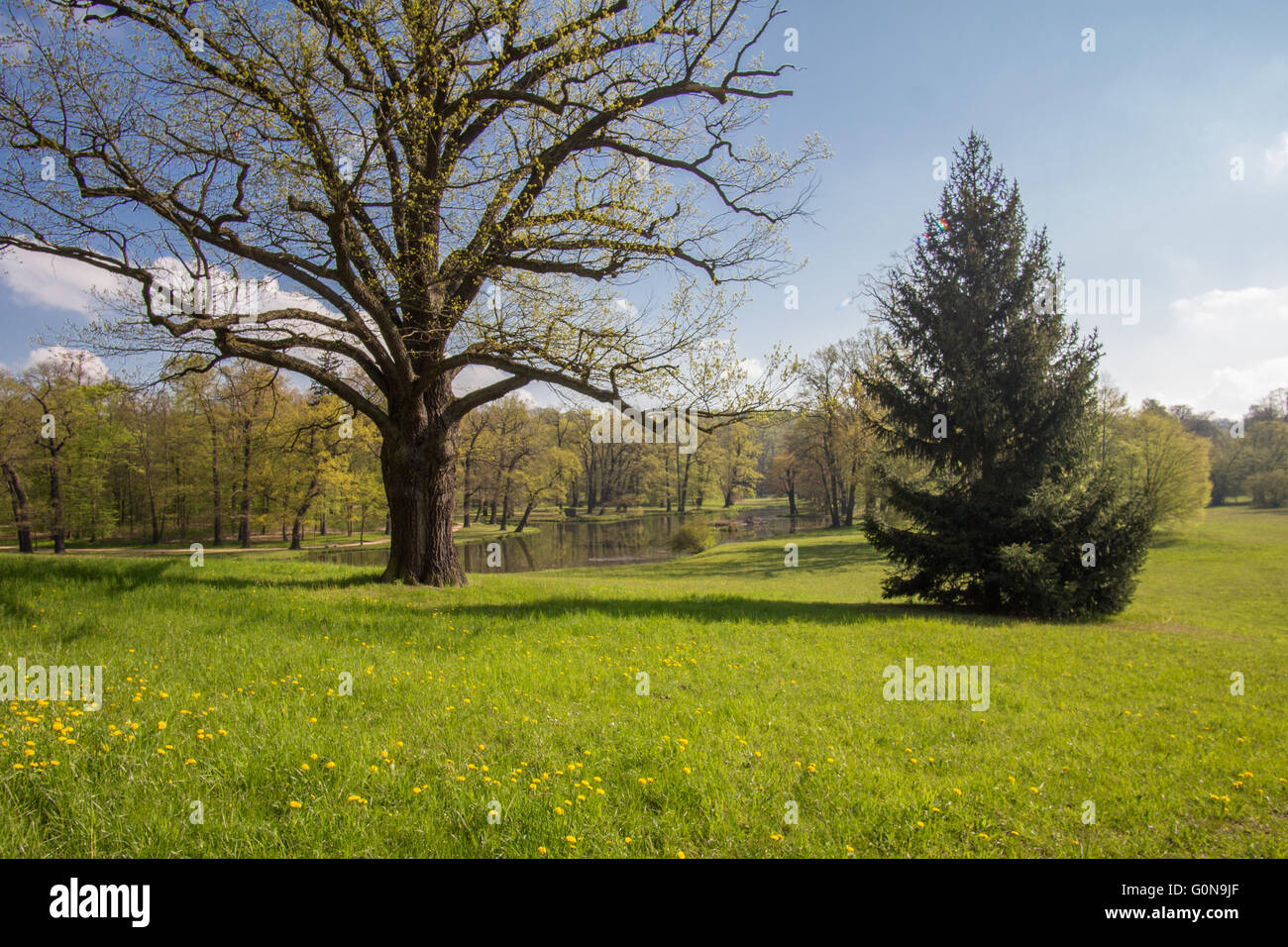 Parco e Castello di Bad Muskau Foto Stock