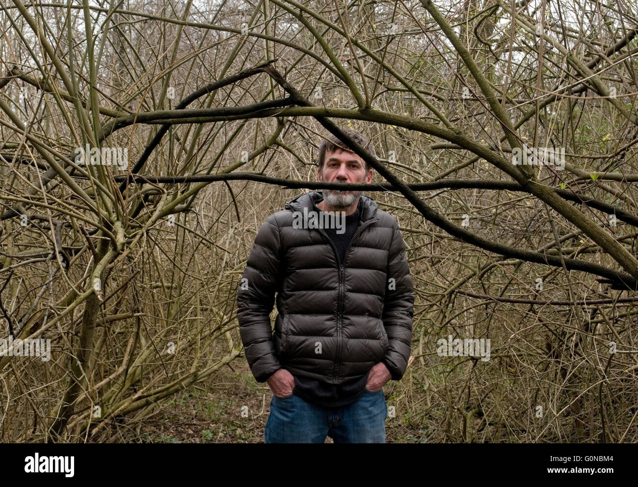 L'uomo nel bosco Foto Stock