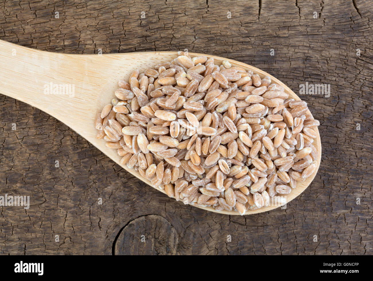Top vista ravvicinata di una porzione di organico farrow grano su un cucchiaio sulla cima di una vecchia scheda a spiovente. Foto Stock