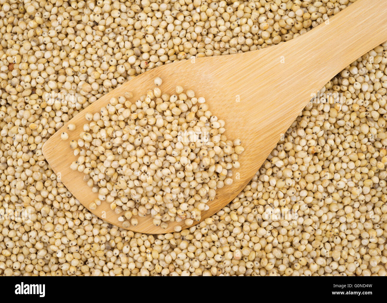 Inizio chiudi la vista di un piccolo cucchiaio di legno riempita con tutto il grano di sorgo di organico in cima più semi. Foto Stock