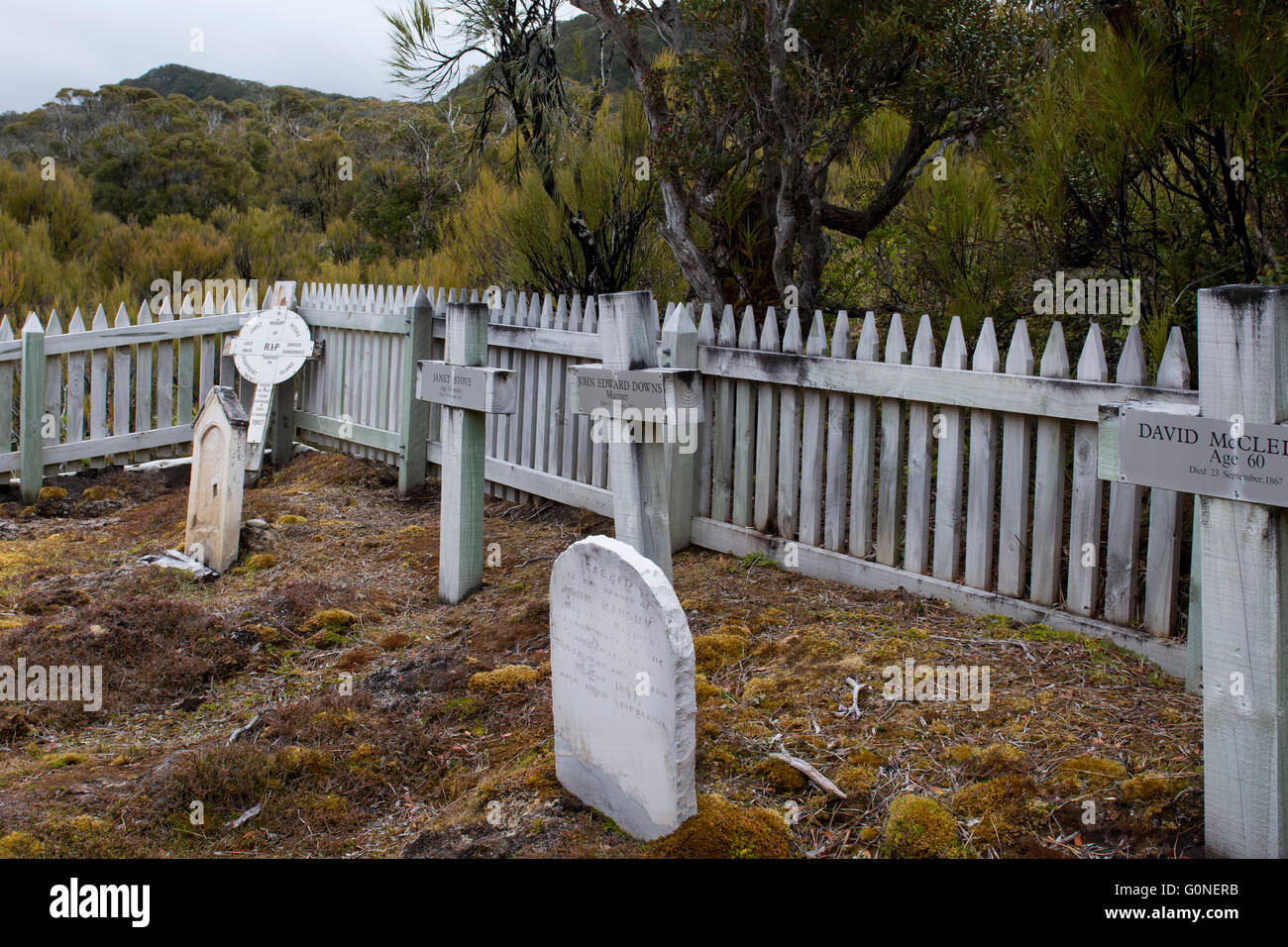 Nuova Zelanda, Isole di Auckland. Erebus Cove, Port Ross, sull isola di Auckland. Cimitero storico del malato stregate Hardwicke. Foto Stock