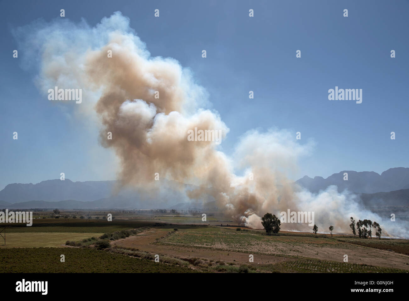 Fumo di un fuoco che arde fuori da un campo di agricoltori nella Western Cape Sud Africa Foto Stock