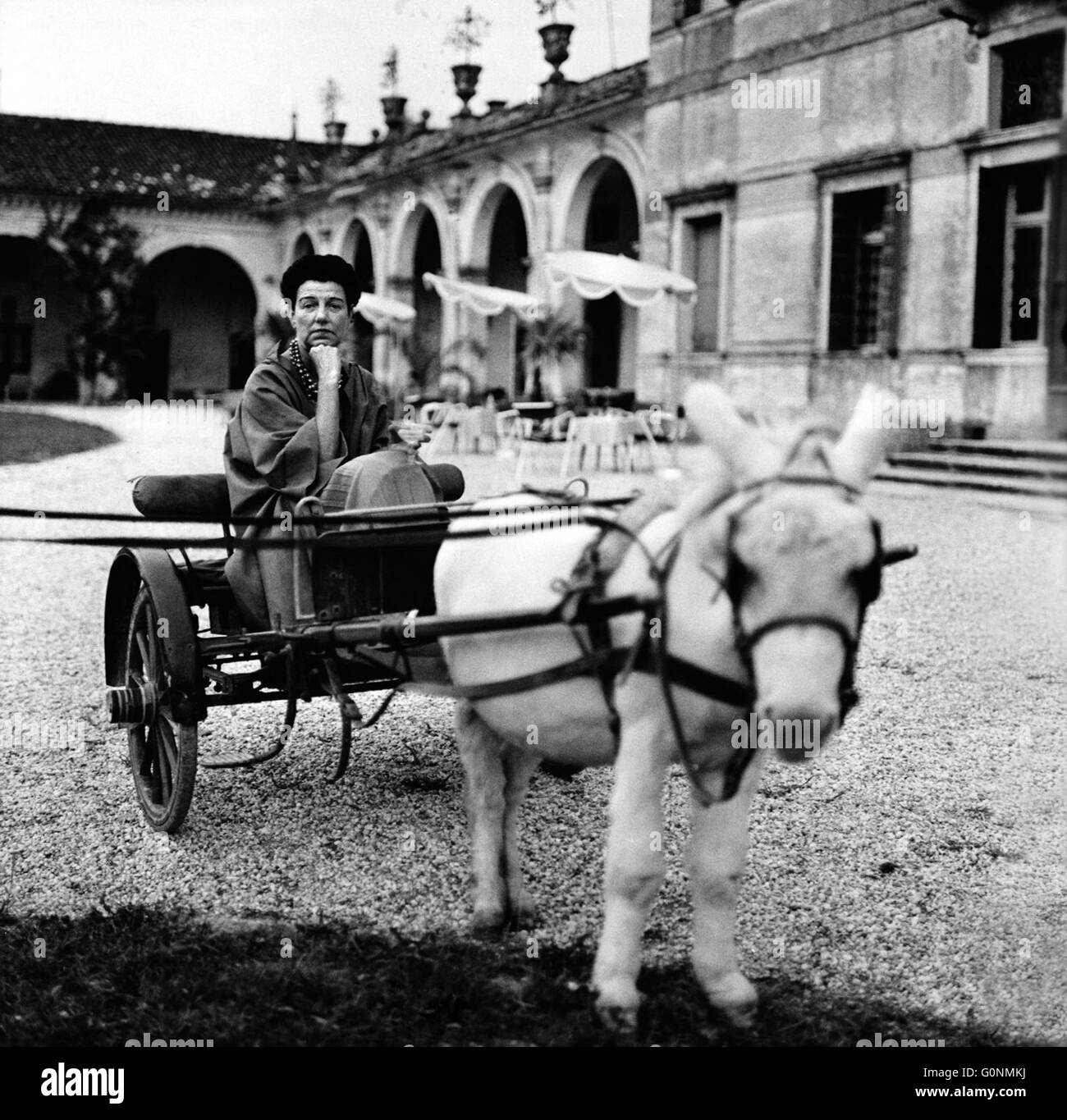 Peggy Guggenheim: Arte Addict è un ritratto di un mecenate delle arti extraordinaire che hanno trasformato una modesta fortuna e un gusto impeccabile in una delle collezioni di premiere dell'arte del novecento, diretto da Lisa Immordino Vreeland. Questa fotografia è per il solo uso editoriale ed è il copyright del film company e/o il fotografo assegnato dal film o società di produzione e può essere riprodotto solo da pubblicazioni in congiunzione con la promozione del film di cui sopra. Un credito per il film company è richiesto. Il fotografo deve anche essere accreditato quando noto. Foto Stock