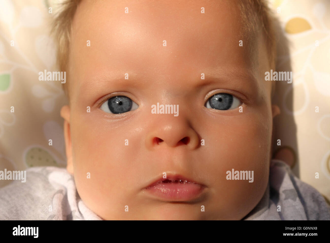 Un blue eyed bambina di quattro mesi boy guardando la telecamera Foto Stock