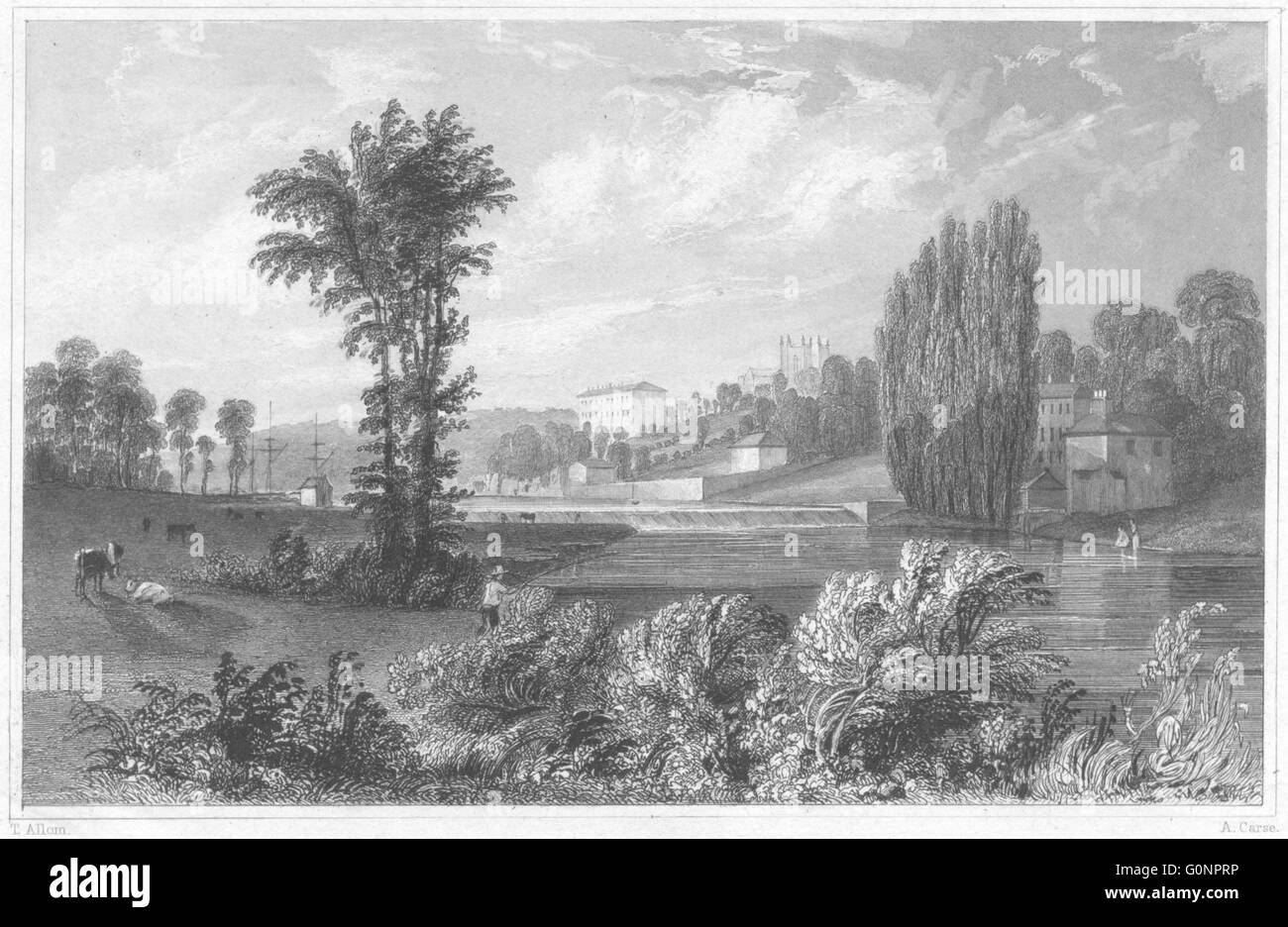 DEVON: vista sul fiume Exe, vicino a Exeter, antica stampa 1829 Foto Stock