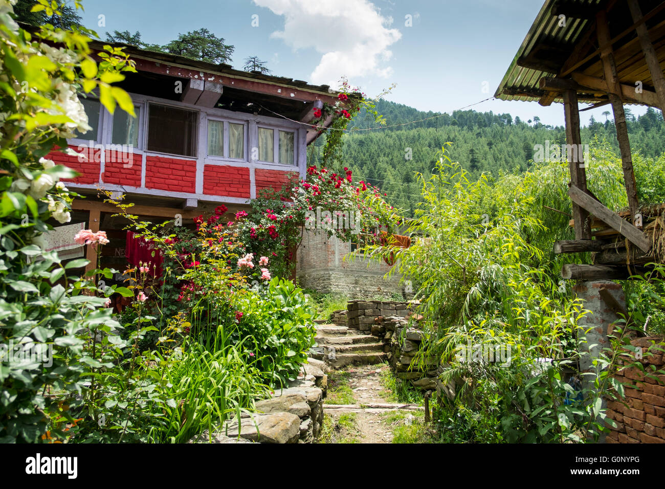 Circondato da fogliame uno stretto sentiero si snoda nel villaggio himalayana di Nashala con una casa in fine. Foto Stock