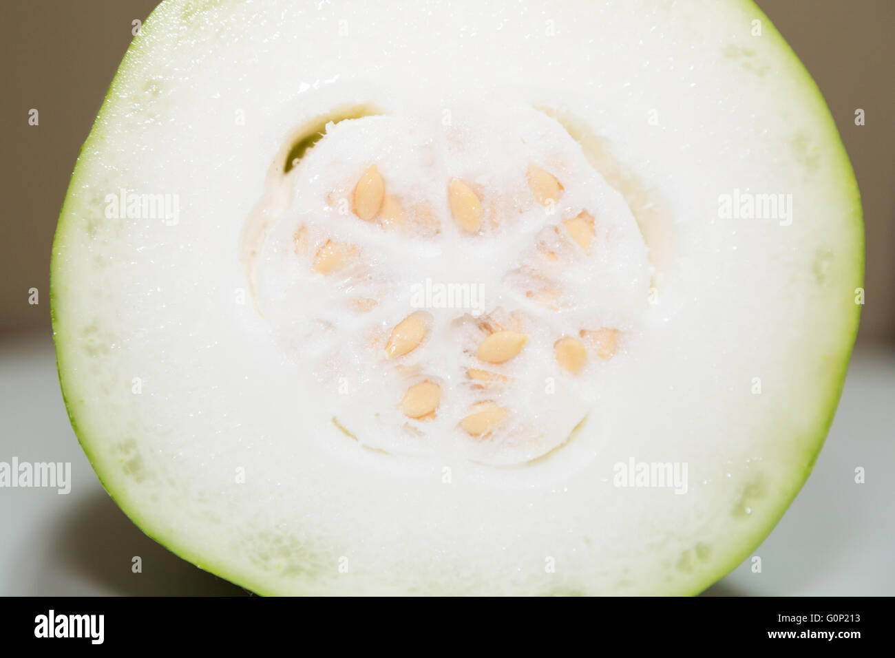 Melone invernale, Zucca di Cenere di bianco, zucca zucca invernale, sego gourd, tagliata a metà, close-up Foto Stock