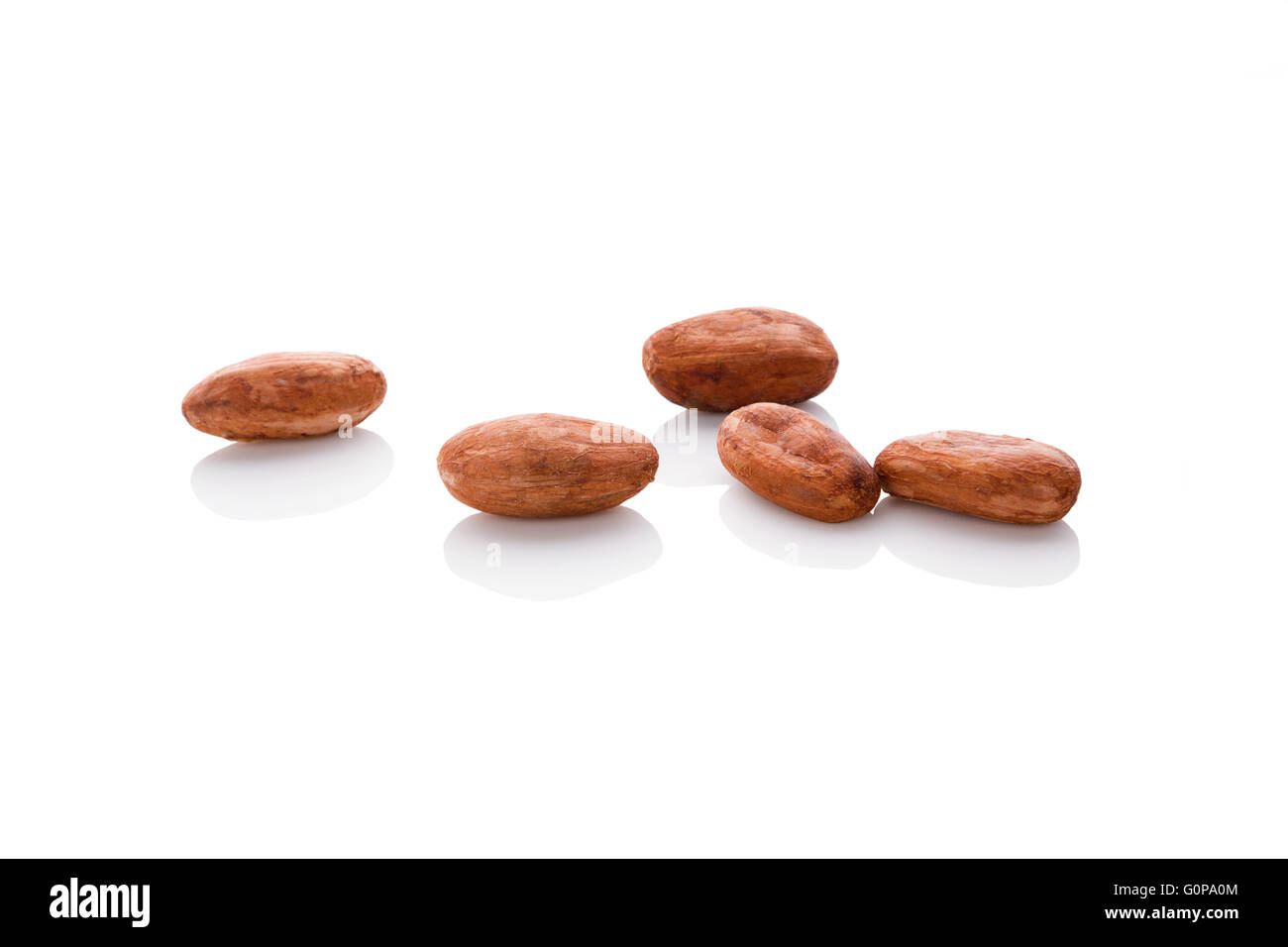 Le fave di cacao isolati su sfondo bianco. Super sani. Foto Stock