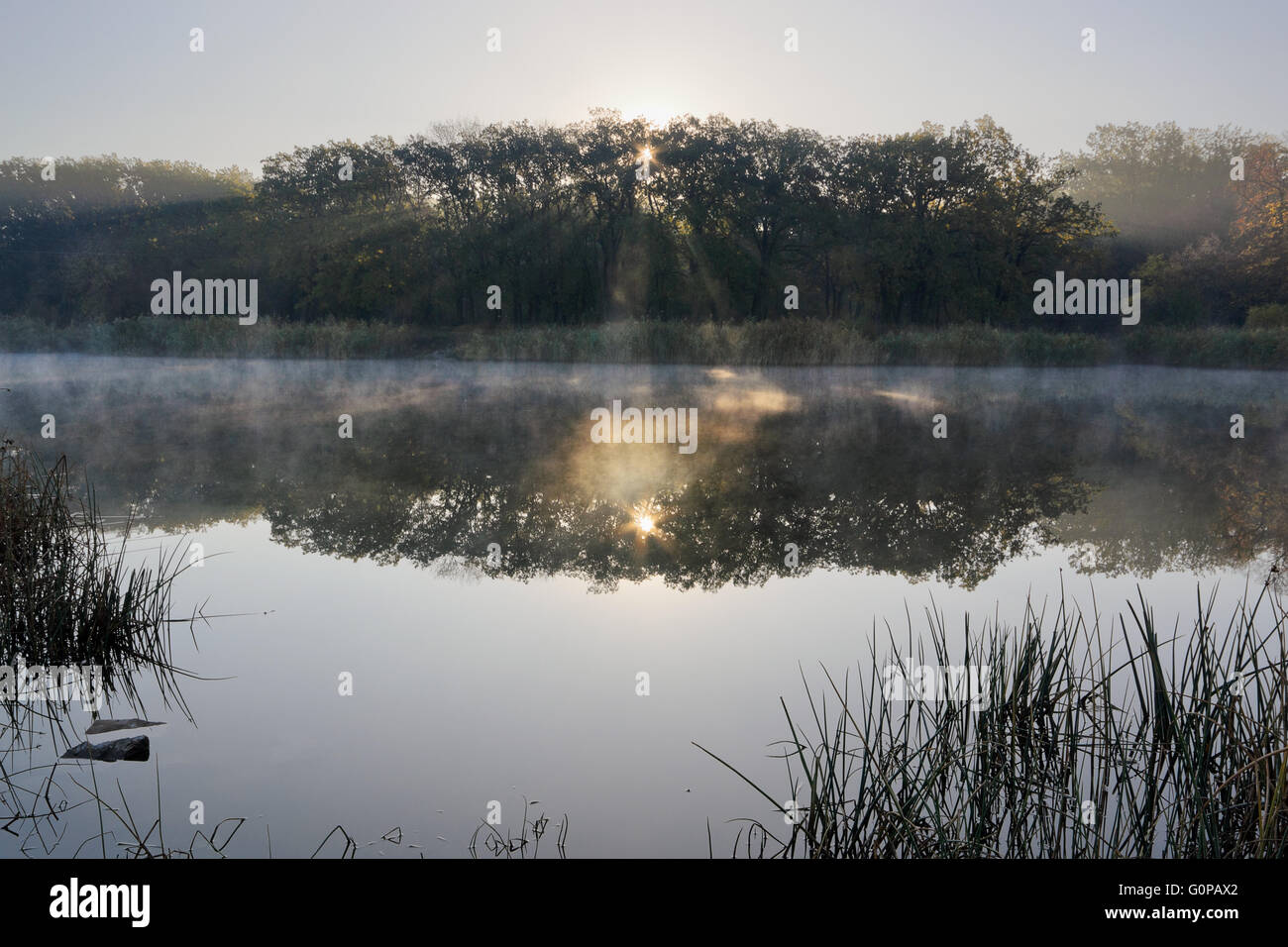 Fredda mattina paesaggio con un fiume. Erba RICOPERTA DA BRINA Foto Stock