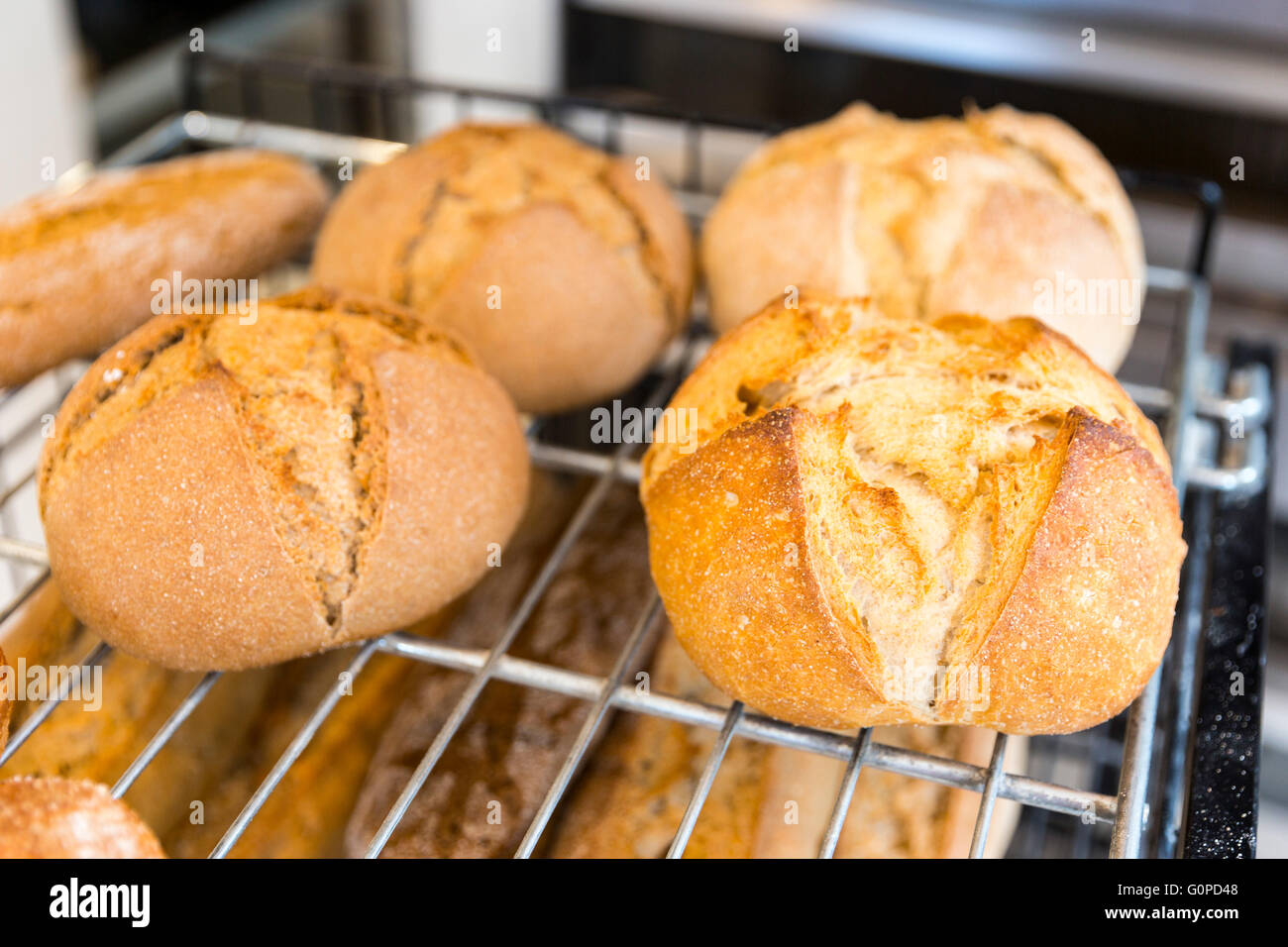 Senza glutine pane tondo con polpettine. Realizzato con il lievito e il farro. Pietanze senza glutine. Illustrato su una tavola nera in una piccola panetteria di famiglia. Foto Stock