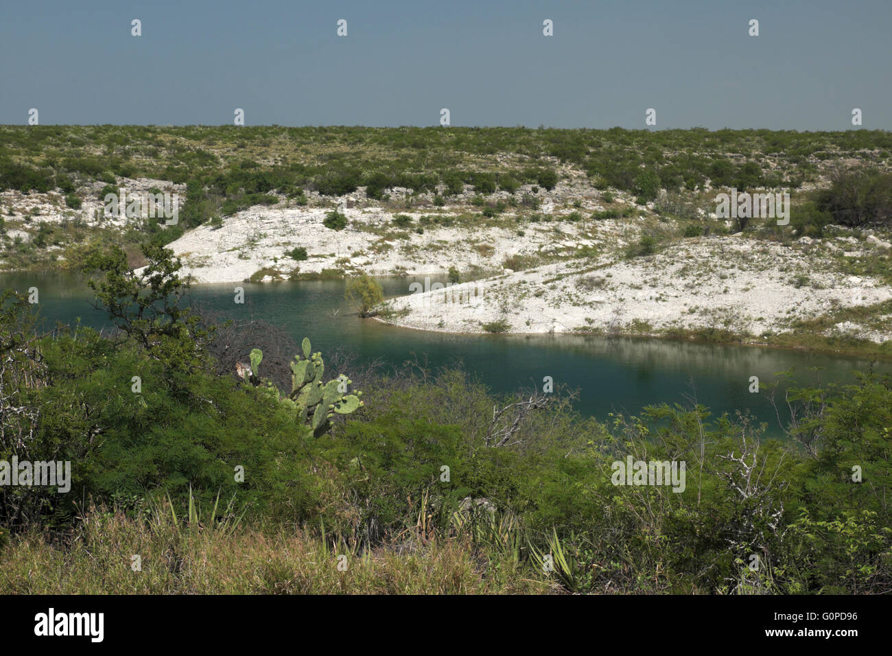 Un ingresso del lago Amistad serbatoio in prossimità del Rio, Texas. La foto mostra un deserto di pietra calcarea piano con prugnolo spazzola. Foto Stock
