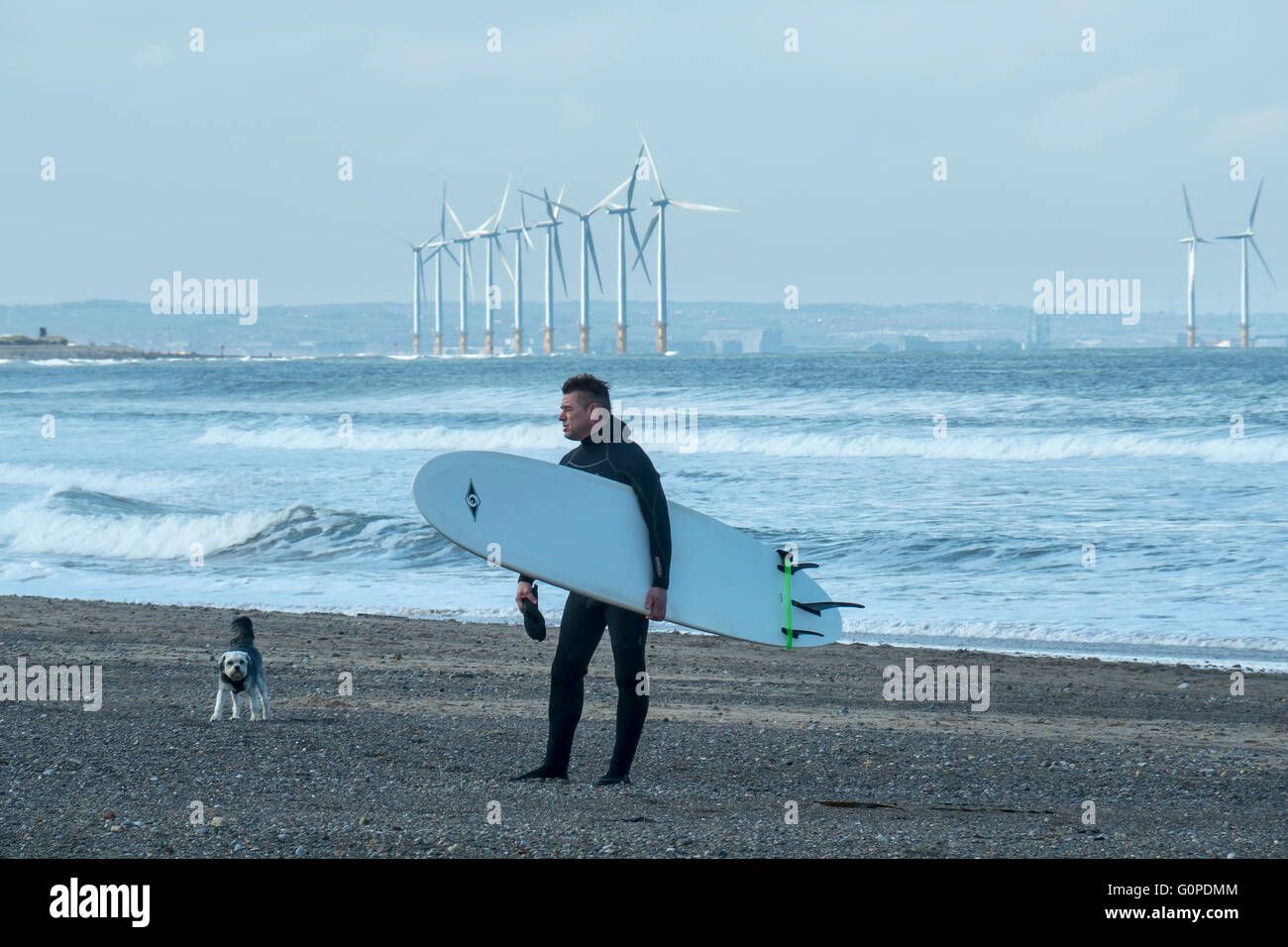 Surfer e cane, Marske Beach, Cleveland, North Yorkshire Foto Stock