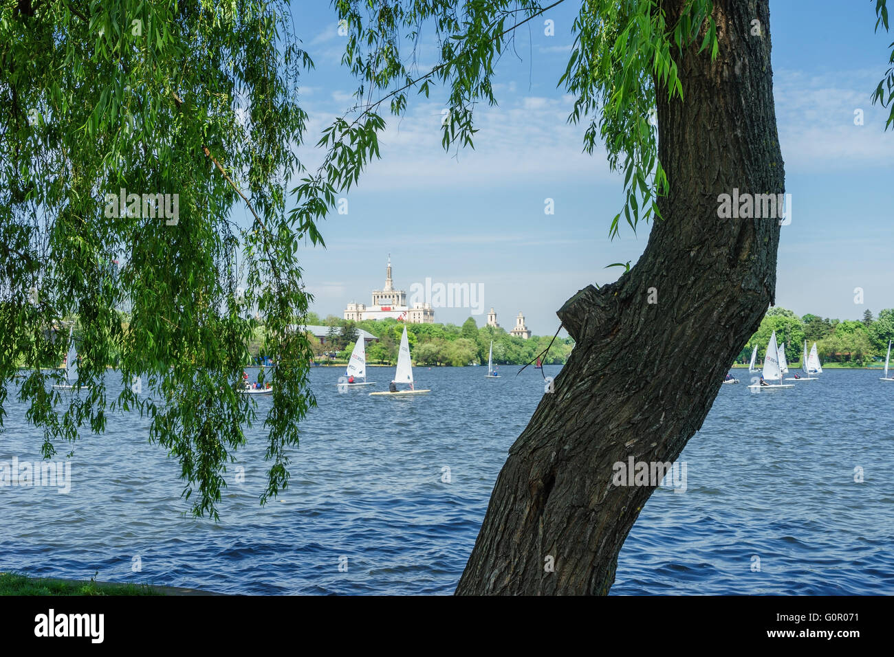 Barche a vela sul lago al Parco Herastrau Bucarest, Romania. Foto Stock