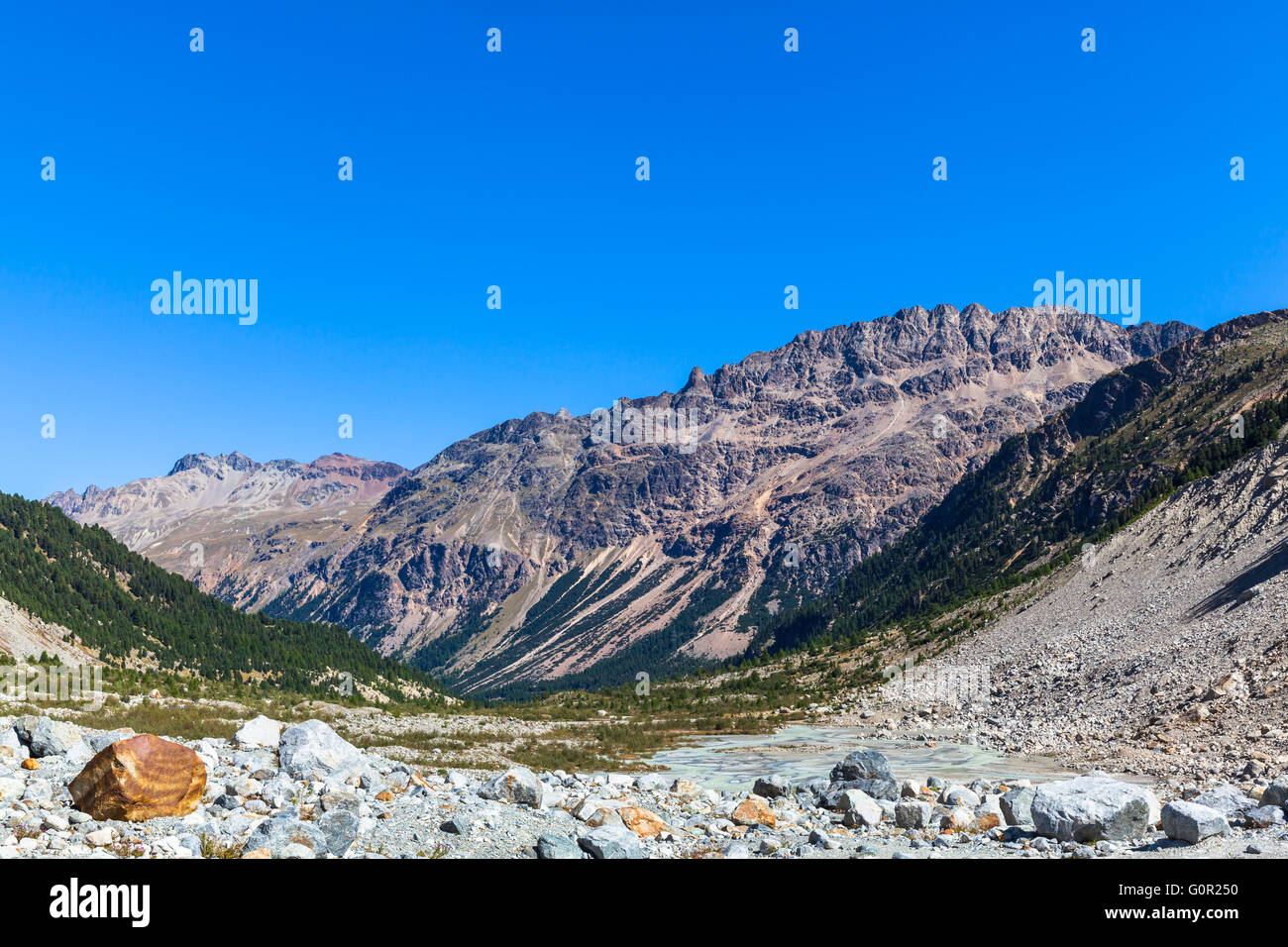 Bellissima vista egli Livigno Alpi delle Alpi Svizzere compresi Piz Albris nella valle alla fine del Morteratsch ghiacciaio, cantone Foto Stock