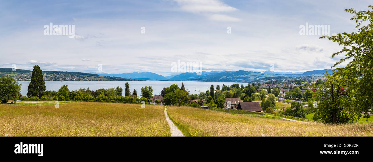 Vista panoramica del lago di Zurigo e delle alpi sulla collina della penisola Au, situato nel lago di Zurigo presso il comune Au scommessa Foto Stock