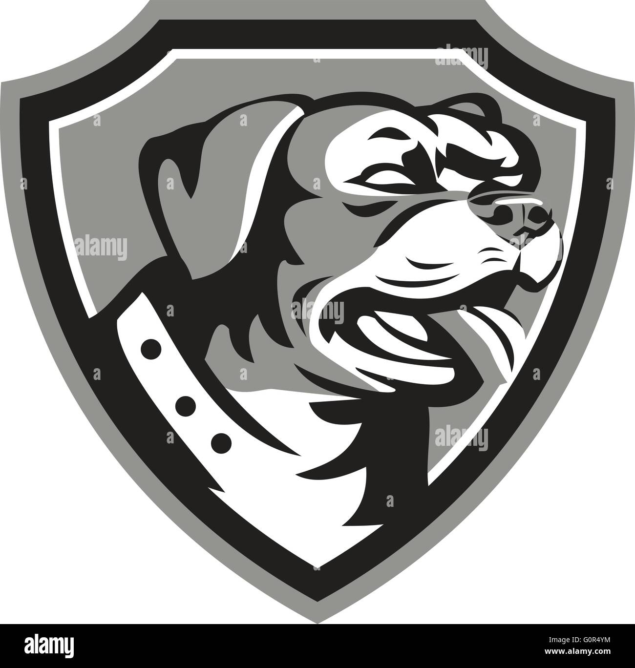 Bianco e nero illustrazione di un rottweiler Metzgerhund mastiff-cane cane da guardia testa guardando al lato imposta all'interno di cresta fatto in stile retrò. Illustrazione Vettoriale