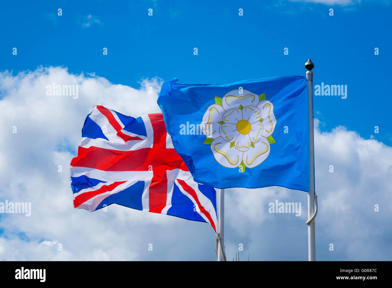 Il Regno Unito bandiera ufficiale e la Yorkshire bandiera di una rosa bianca su una massa blu battenti fianco a fianco. Foto Stock